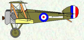 Camel of No 65 Squadron - Oct 1917 - Mar 1918
