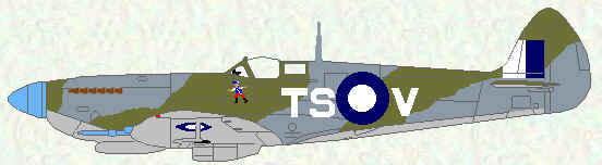 Spitfire VIII of No 548 Squadron