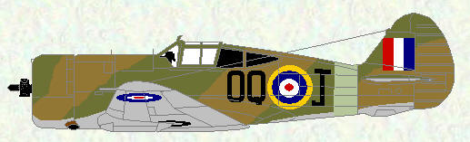 Curtiss Mohawk IV of No 5 Squadron