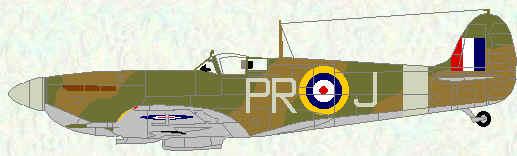 Spitfire VB of No 609 Squadron