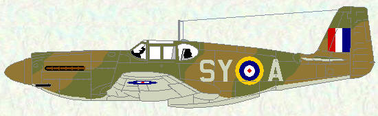 Mustang I of No 613 Squadron (early temperate land scheme)