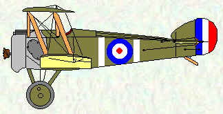 Camel of No 65 Squadron - Mar - Nov 1918