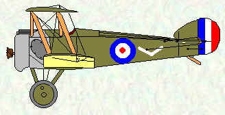 Camel of No 71 Squadron