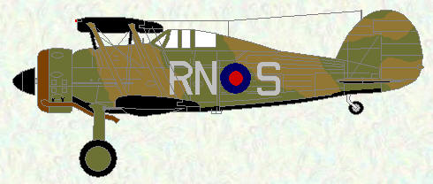 Gladiator I of No 72 Squadron (camouflage scheme)
