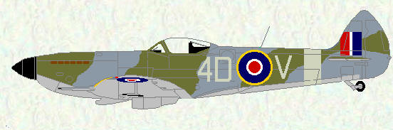 Spitfire LF 16E of No 74 Squadron
