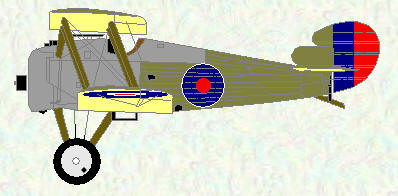 Snipe of No 78 Squadron