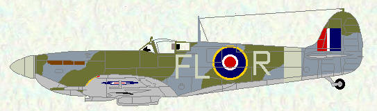 Spitfire VB of No 81 Squadron