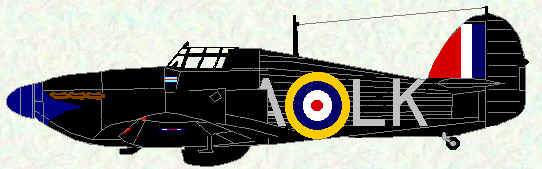 Hurricane I of No 87 Squadron (February 1941)