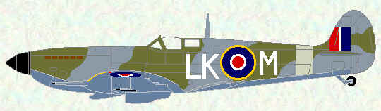 Spitfire IX of No 87 Squadron