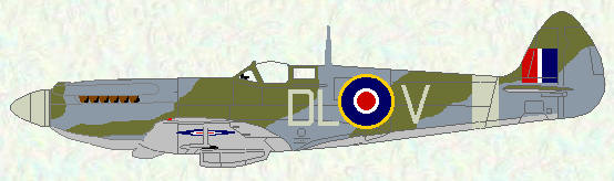 Spitfire XII of No 91 Squadron