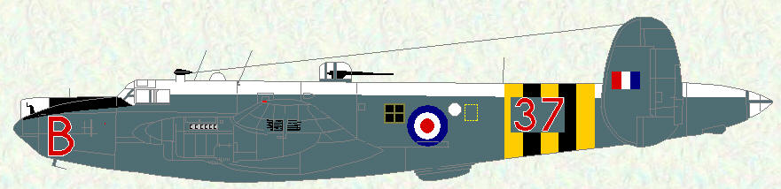 Shackletyon MR Mk 2 (Suez markings)