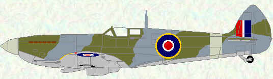 Spitfire XVI