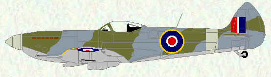 Spitfire XVI (Camouflage)