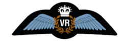 Reserve Pilot (Air Experience) Flying badge