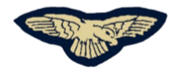 Preliminary Flying Badge (Pilot) Flying badge