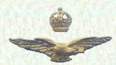 Officers' Forage cap badge