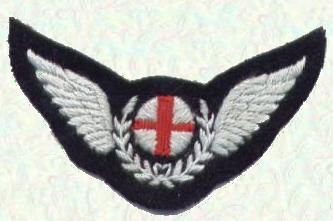 Flight Nursing Attendant Badge