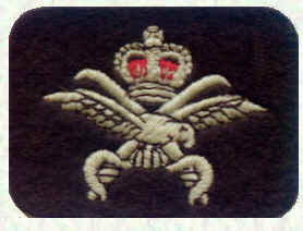 PTI Badge 1949 - present (No 1 Uniform)