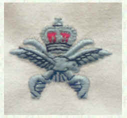 PTI Badge 1949 - present (Singlet)