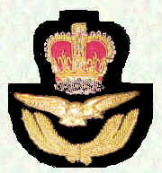 Officers' cap badge - Officers below Air Rank (Queen's Crown)