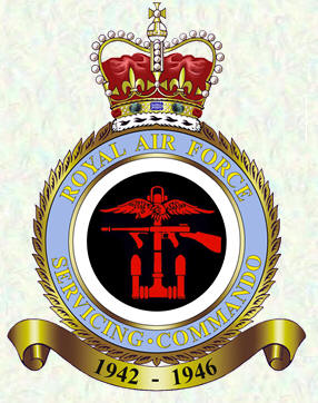 Badge - RAF Servicing Commando
