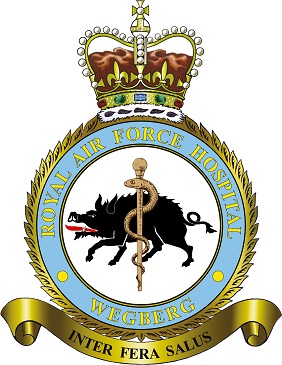 RAF Hospital Wegberg badge