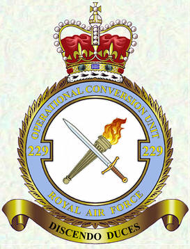 No 229 OCU Badge