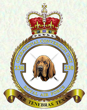 No 238 Operational Conversion Unit badge