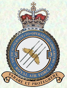 No 3 Tactical Survive to Operate HQ badge