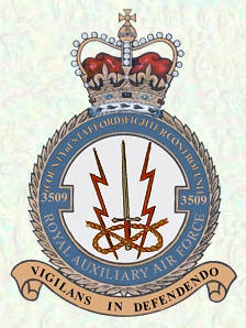 No 3509 (County of Stafford) Fighter Control Unit badge