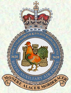 No 3620 (Country of Norfolk) Fighter Control Unit badge
