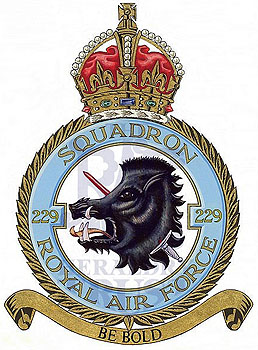 No 229 Squadron badge