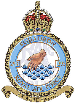 No 293 Squadron badge