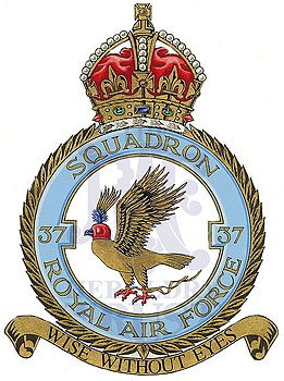 No 37 Squadron badge