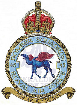 No 45 Squadron badge