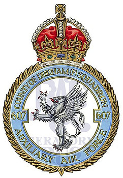 No 607 (County of Durham) Squadron badge