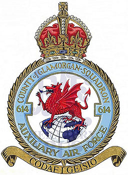 No 614 (County of Glamorgan) Squadron badge