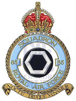 No 85 Squadron badge
