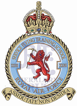 No 23 Service Flying Training School badge