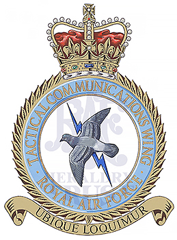 Tactical Communications Wing badge