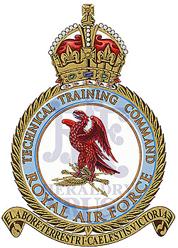 Technical Training Command Badge