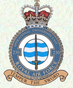 No 230 OCU Badge