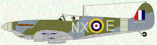 Spitfire VB of No 131 Squadron