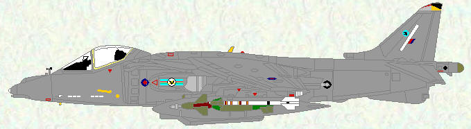 Harrier GR Mk 9 of No 20 (REserve) Squadron