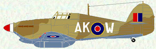 Hurricane IIA of No 213 Squadron (Egypt - 1942)