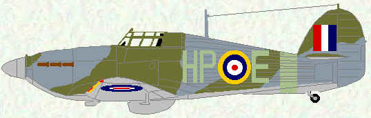 Hurricane IIA of No 247 Squadron (August 1941)