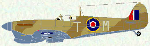 Spitfire VB of No 249 Squadron