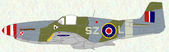 Mustang III of No 316 Squadron
