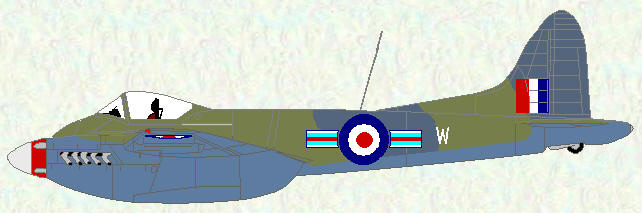 Hornet F Mk 3 of No 33 Squadron in camouflage scheme