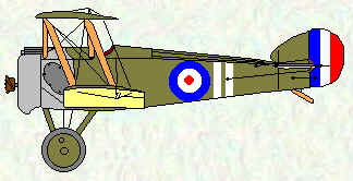 Camel of No 73 Squadron  Mar - Nov 1918